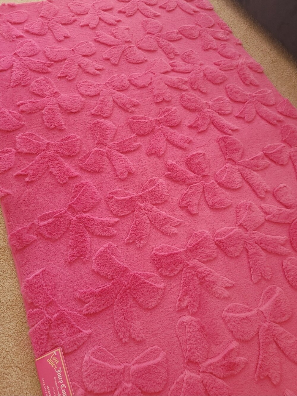 Juicy Couture Rug 🎀